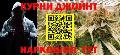 шишки Тулун