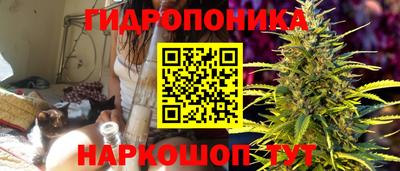 шишки Тулун
