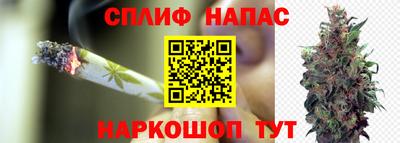 шишки Тулун