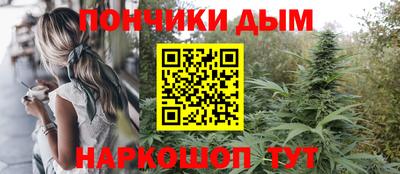 шишки Тулун