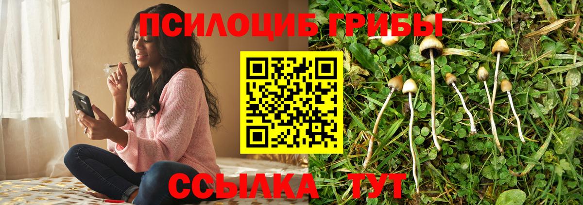 Галлюциногенные грибы GOLDEN TEACHER  Галлюциногенные грибы Cubensis  Рассказово  Вход с VPN 