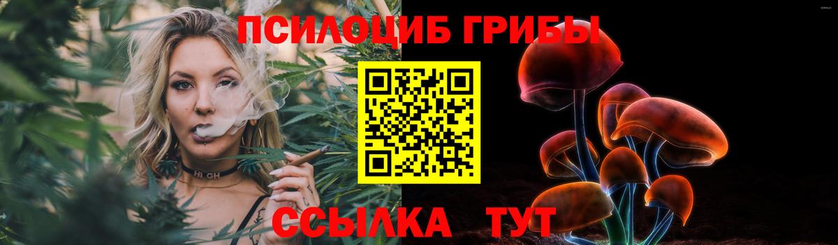 Псилоцибиновые грибы прущие грибы Рассказово